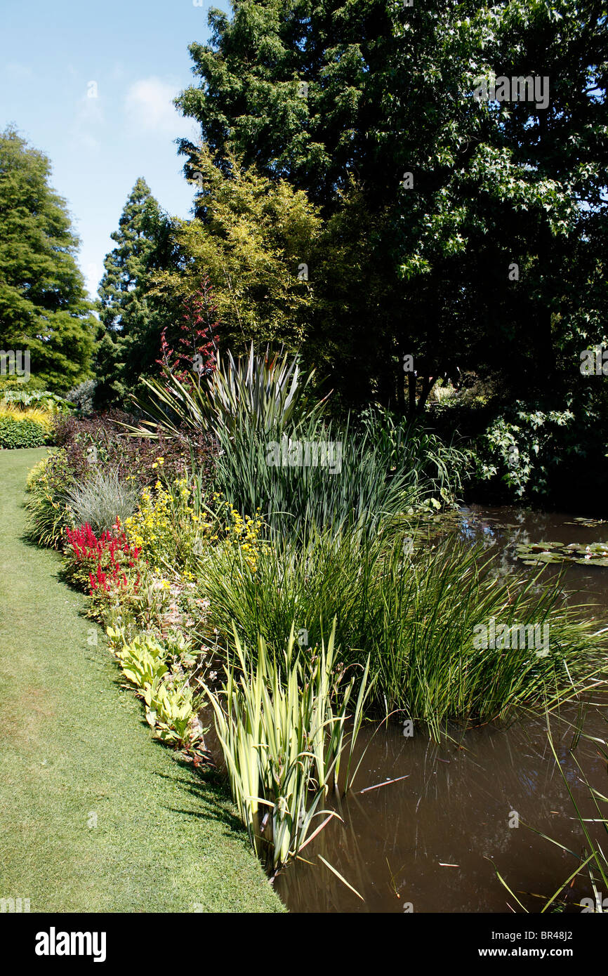 SUMMER FLOWER BEDS AND BORDERS WITHIN THE BETH CHATTO GARDEN. ESSEX. UK