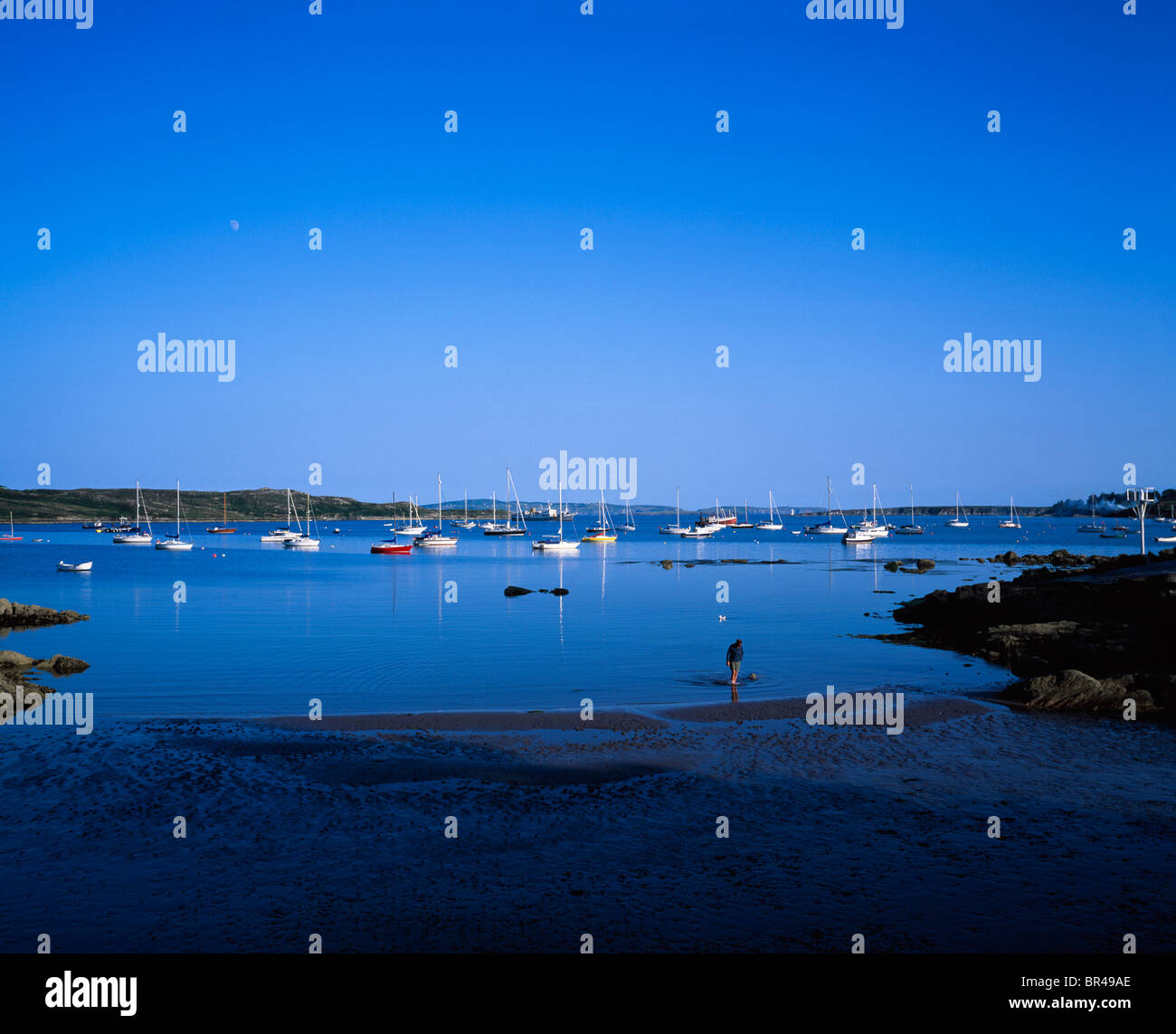 Schull, Co Cork, Ireland, Schull Harbour Stock Photo Alamy