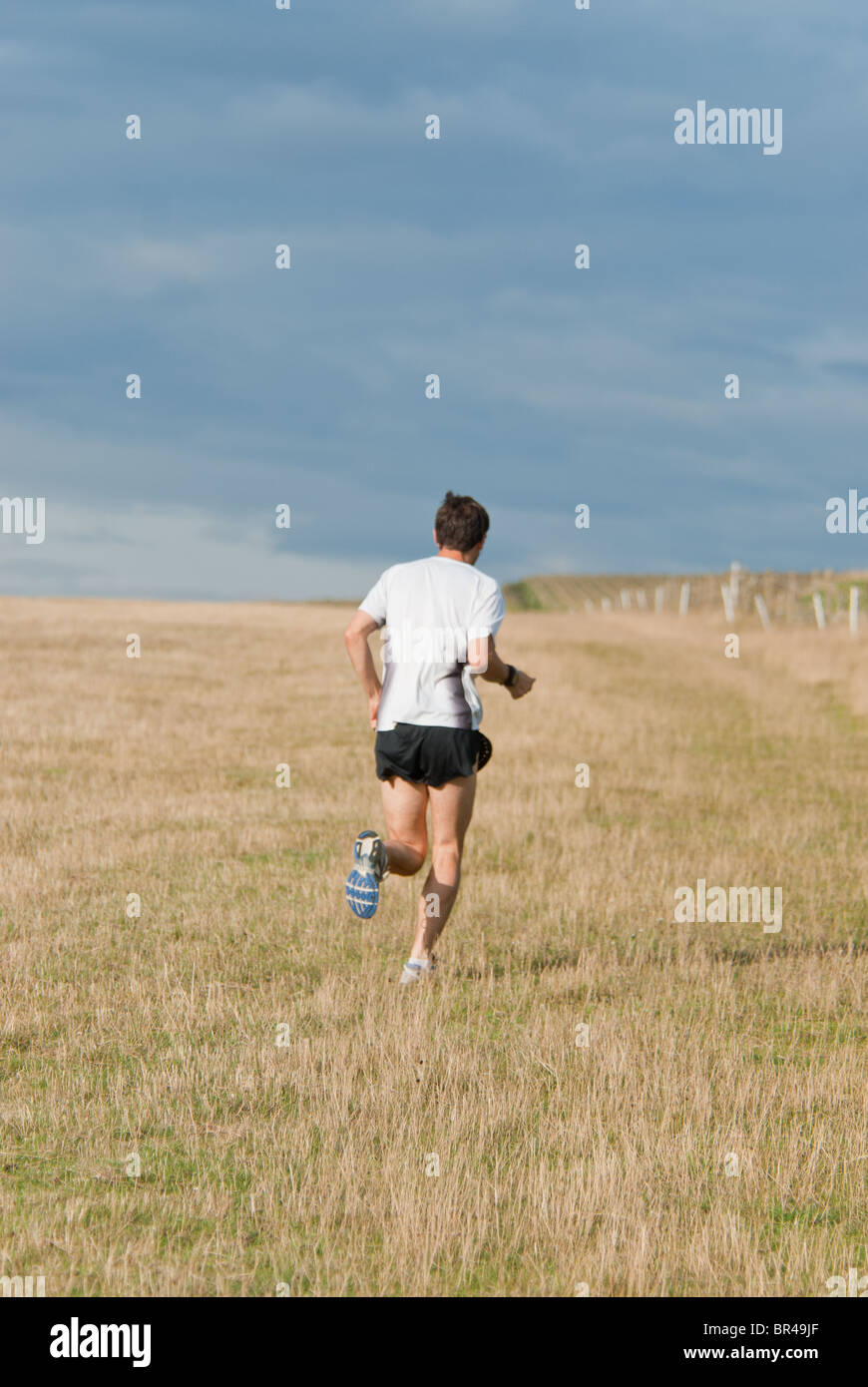 cross country runner running on hills Stock Photo Alamy