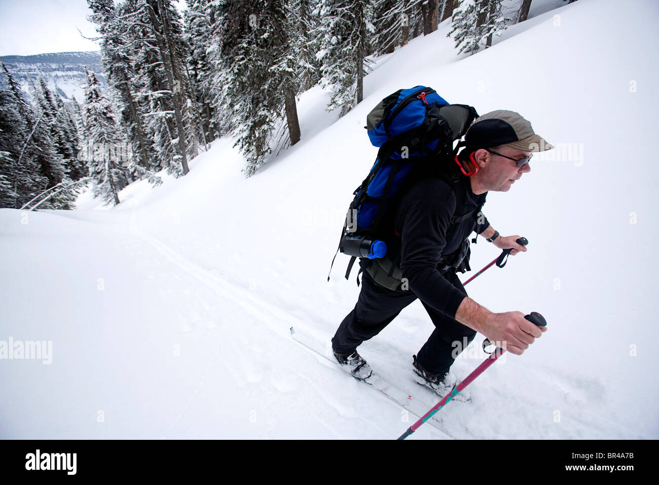 One man skiing/skinning with a backpack in Glacier National Park