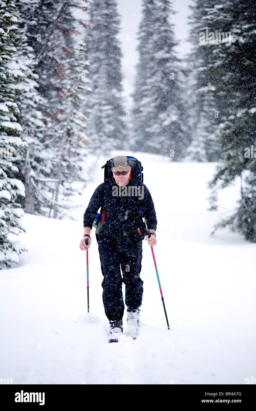 One man skiing/skinning with a backpack in Glacier National Park