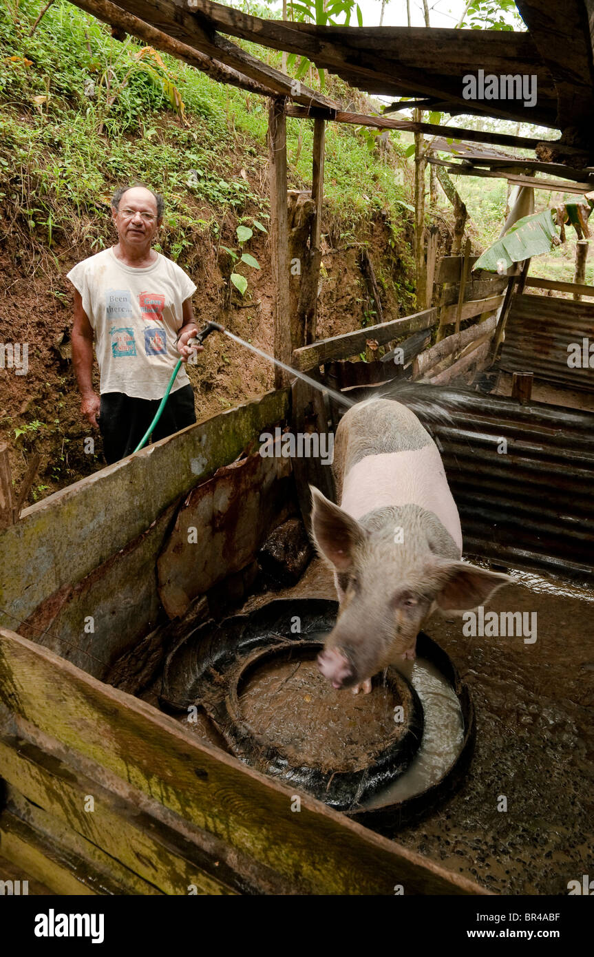 Maleku's man farming, Costa Rica, Central America. Stock Photo