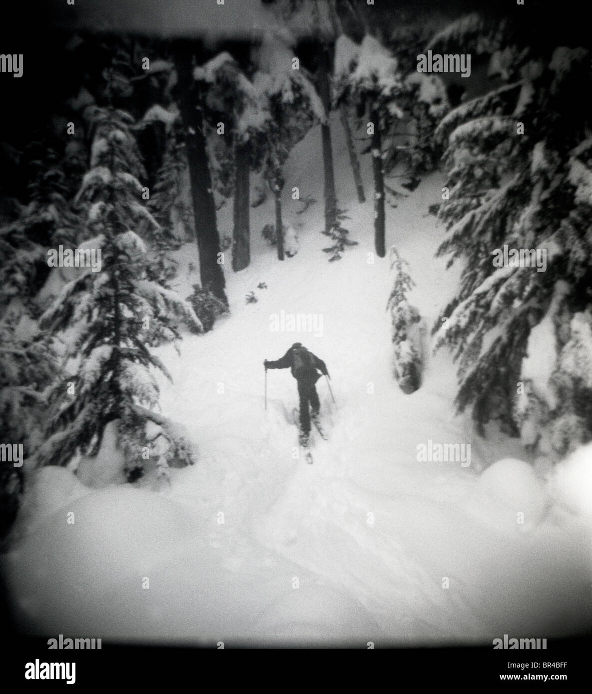A skier skins up a trail at the Whistler Resort in British Columbia. Stock Photo