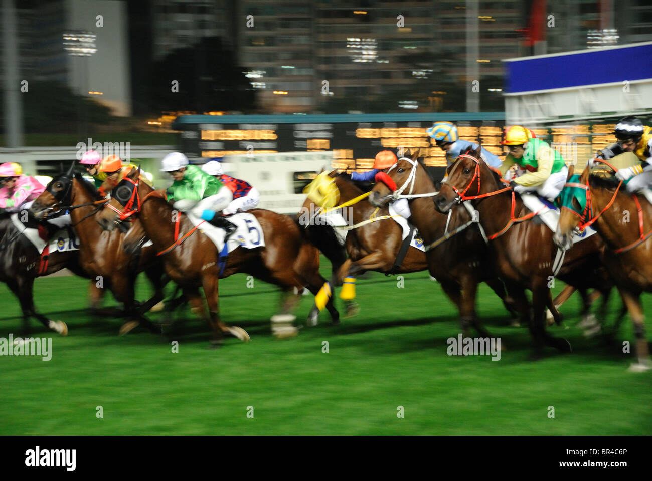 Race Horses Starting Gate High Resolution Stock Photography And Images Alamy Race Horses Starting Gate High Resolution Stock Photography And Images Alamy