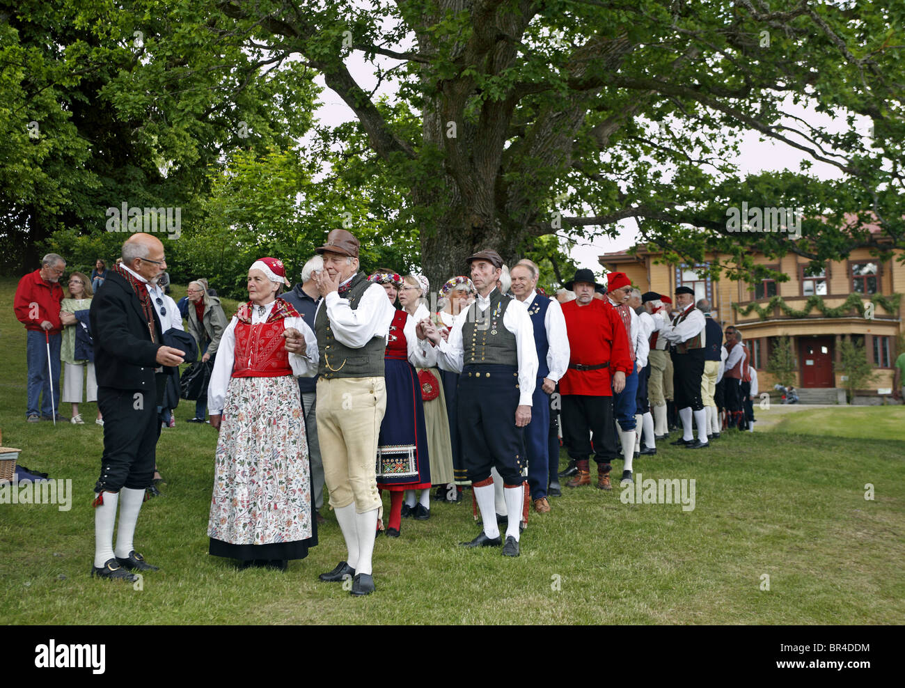 Swedish Folk Dress