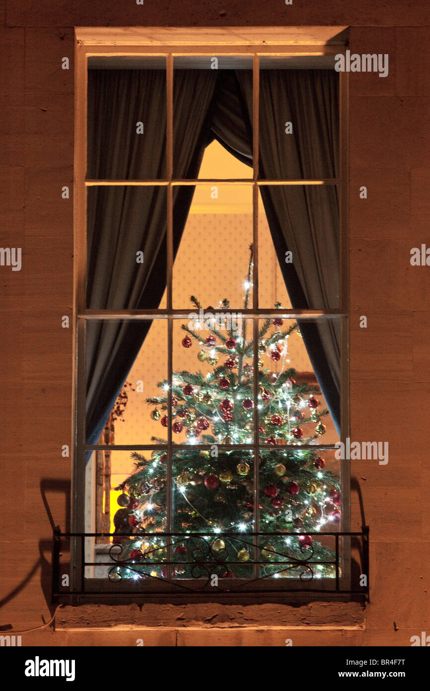 Christmas tree and lights seen through a regency window, Cheltenham