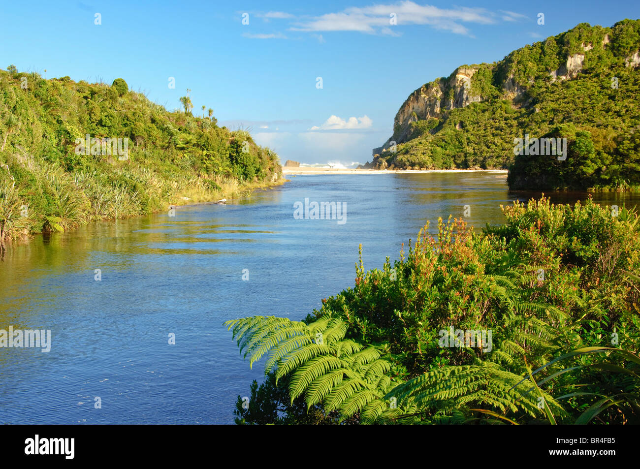 Kaimai Rivers New Zealand, South Island, Karamea. Kohaihai River at the start of ...