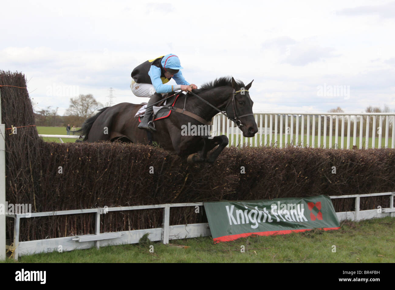 Point to point horse race hi-res stock photography and images - Alamy