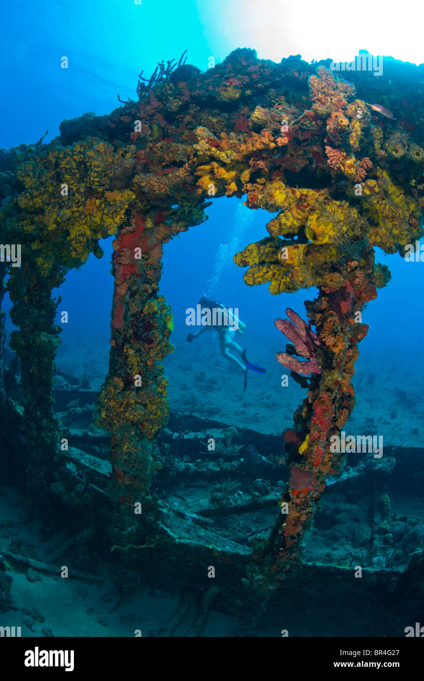 Salt Island Rms Rhone Female teen scuba diver Wreck of the RMS Rhone off the coast of Salt ...