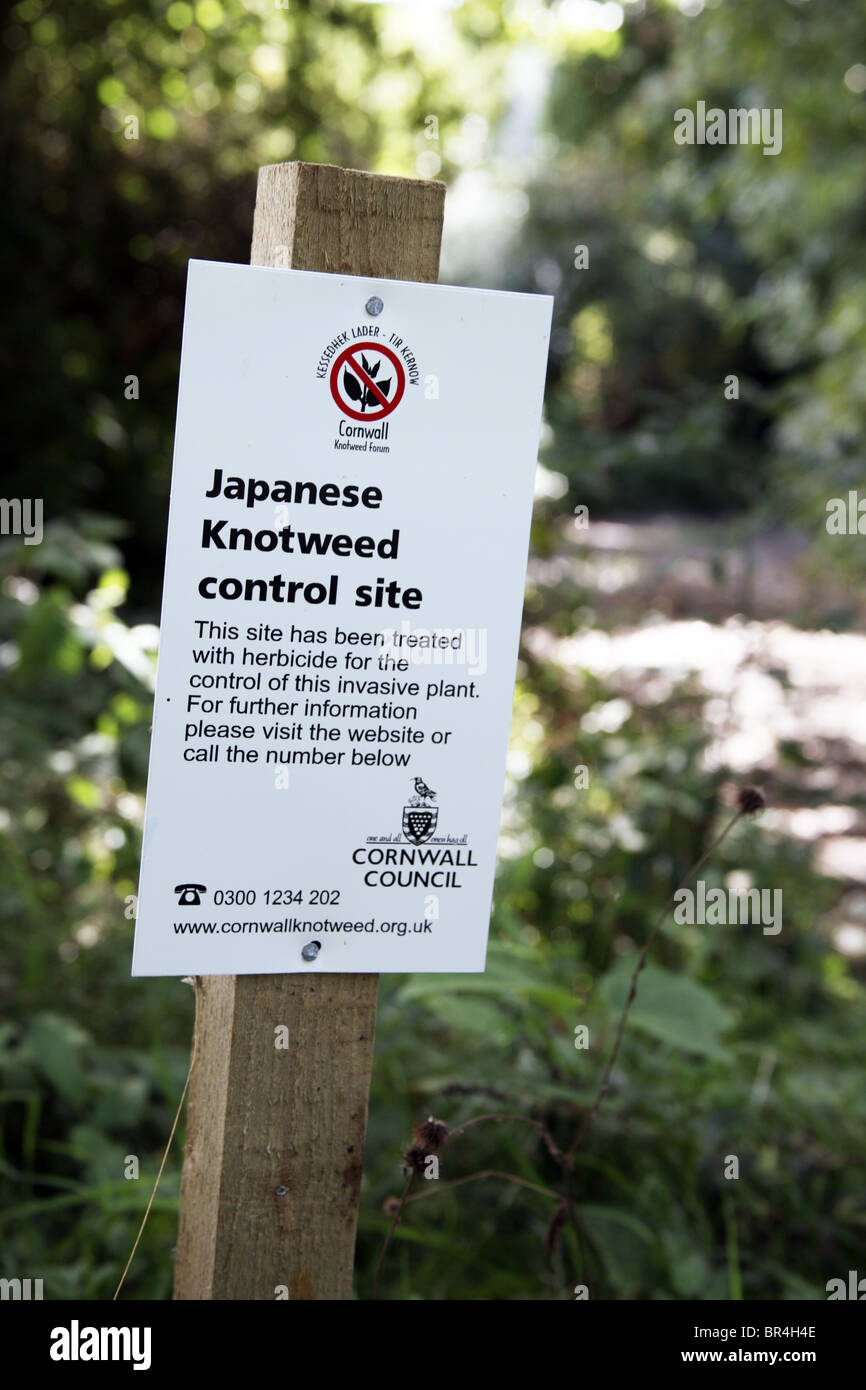 Japanese Knotweed Control Site Sign; Herbicide treated area Stock Photo