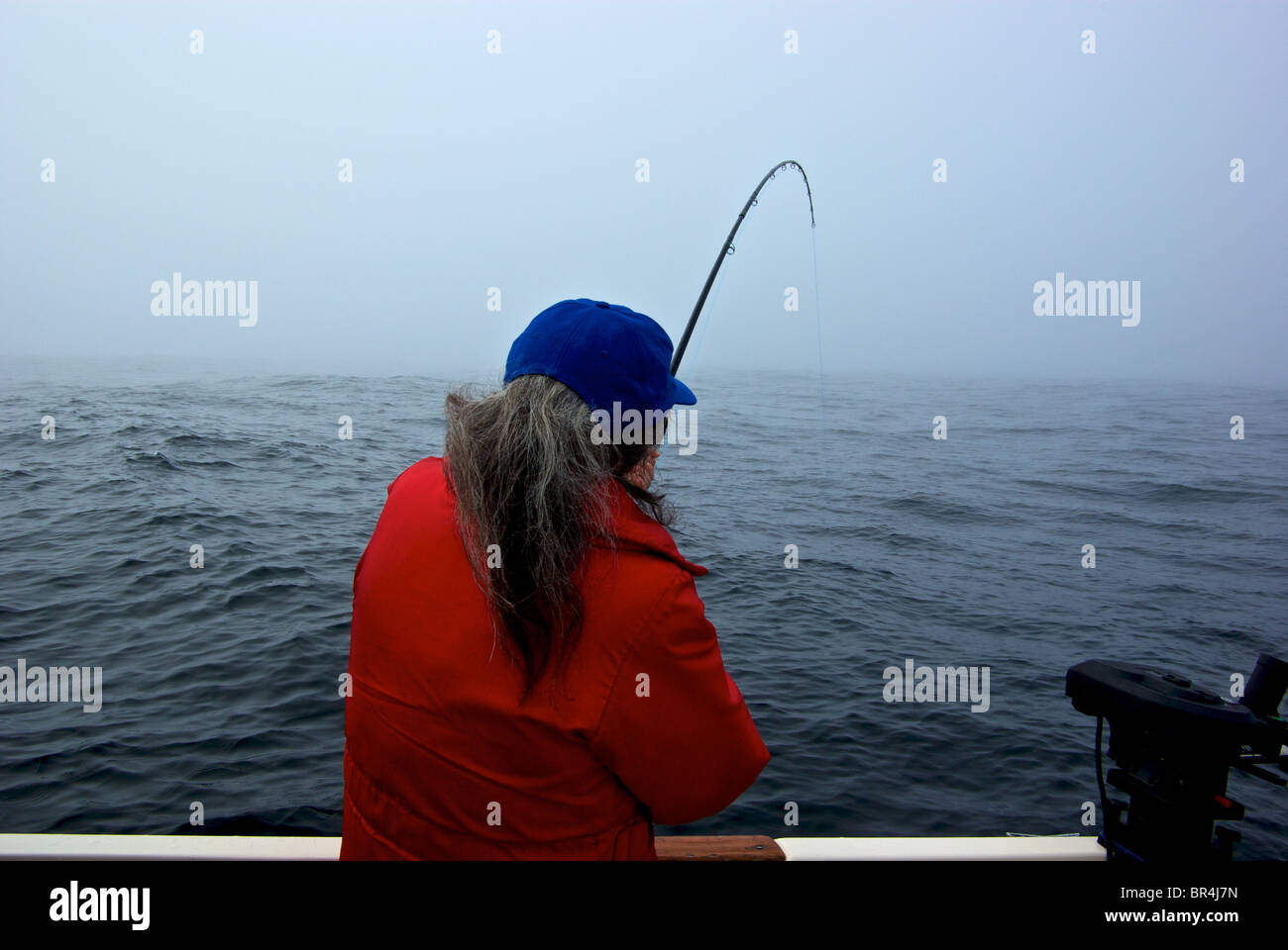 Single action Islander MR2 fishing reel used with a Scotty manual  downrigger to troll for salmon Stock Photo - Alamy