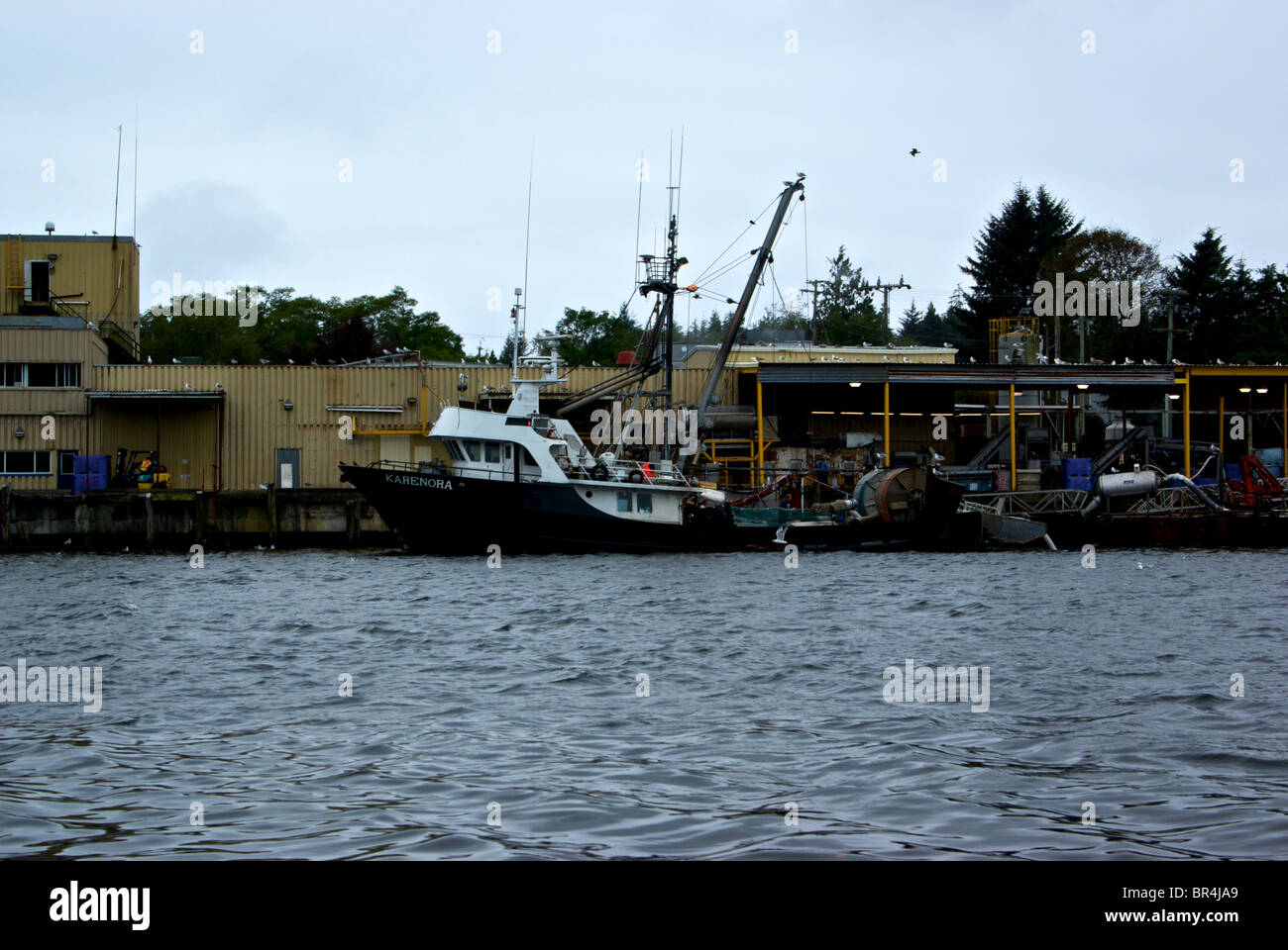 Big commercial fishing boat unloading catch at seafood processing plant dock Ucluelet Inlet BC Stock Photo