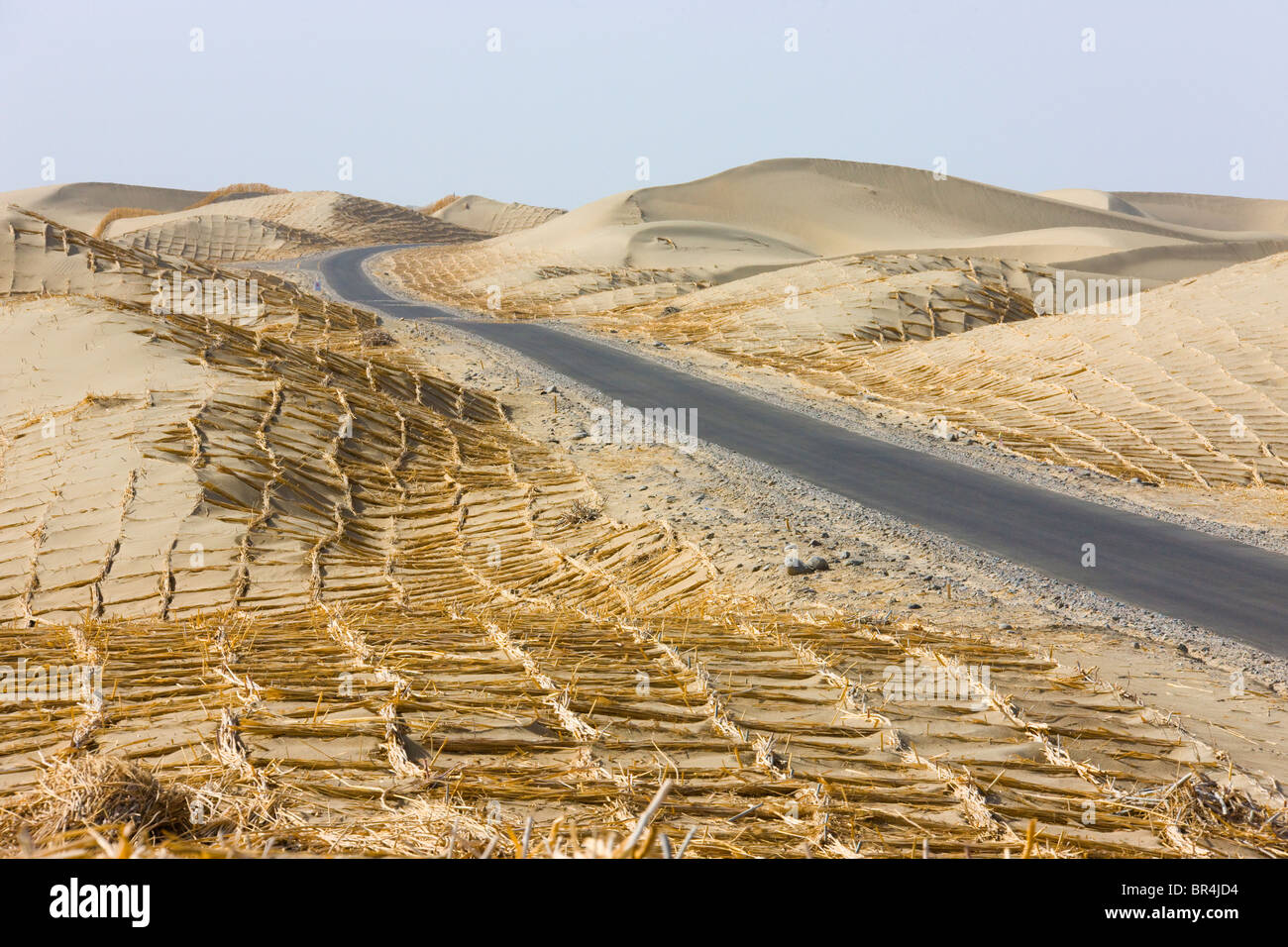 Reed made fence holding sand to prevent desertification, Aksu, Xinjiang, China Stock Photo