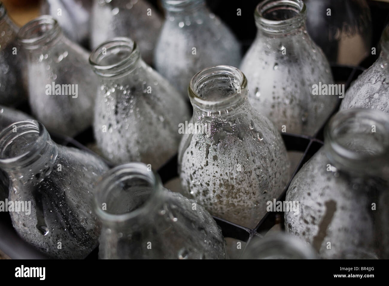 Empty milk bottles Stock Photo Alamy