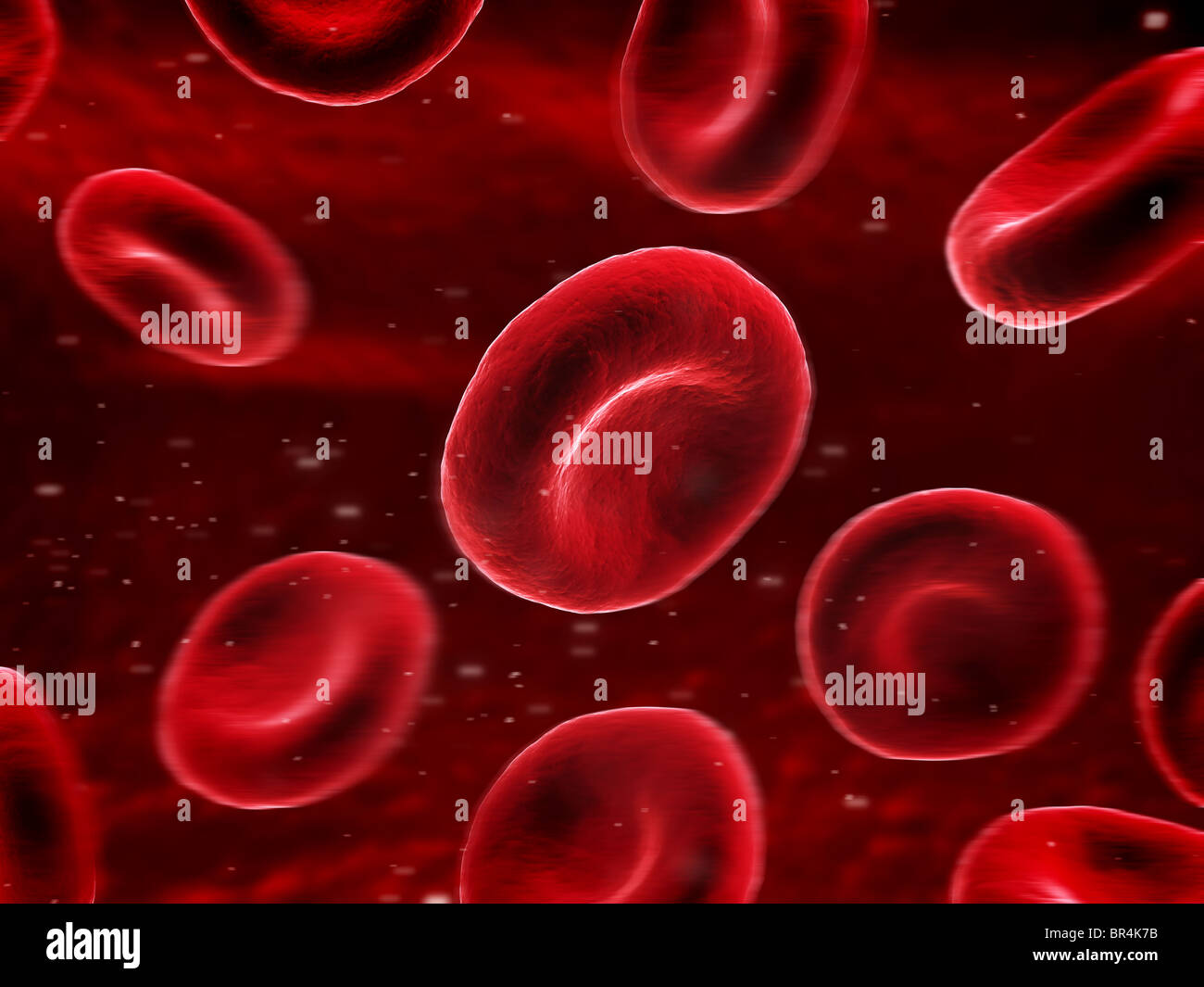 blood cells Stock Photo