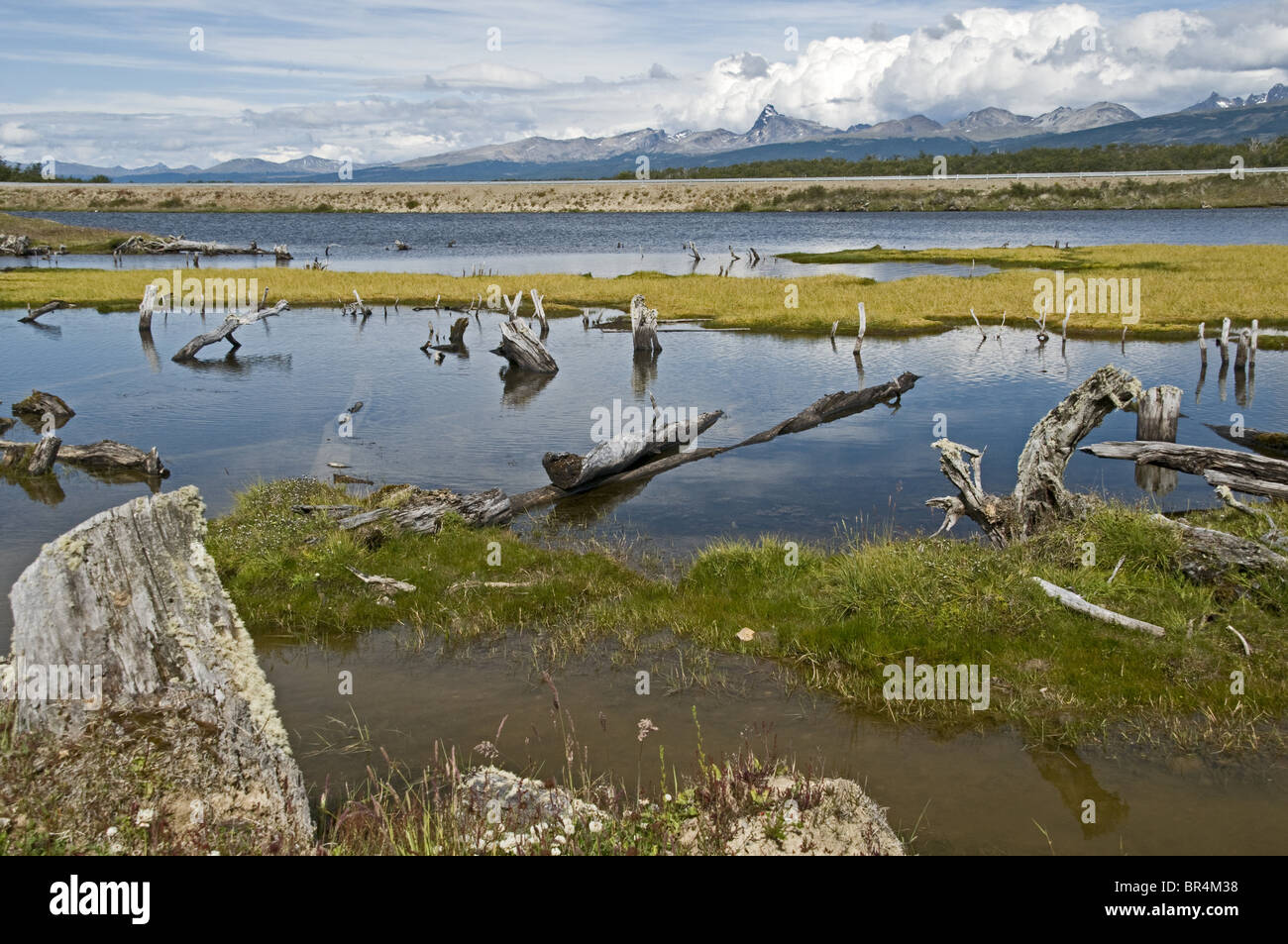 Green Lagoon, Tierra del Fuego, Argentina Stock Photo
