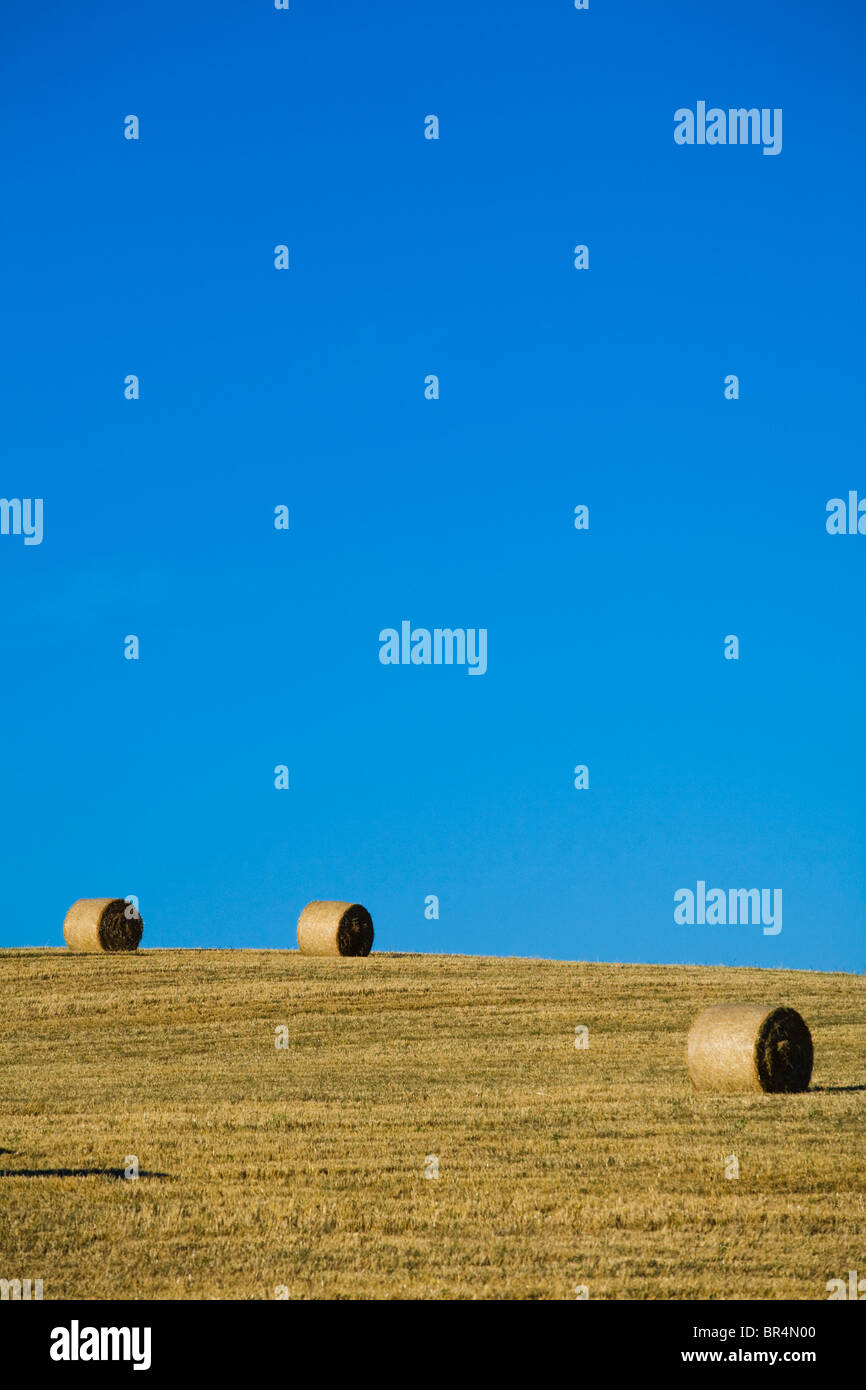 Three hay bales over a yellow field and blue sky. Gap, France. Stock Photo
