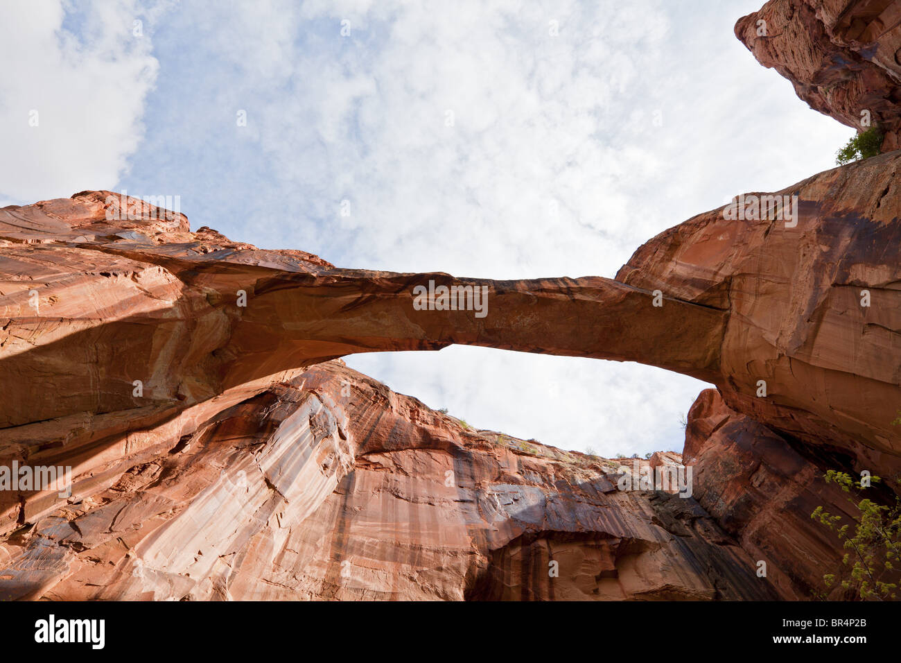 Escalante Natural Bridge in the Grand StaircaseEscalante National