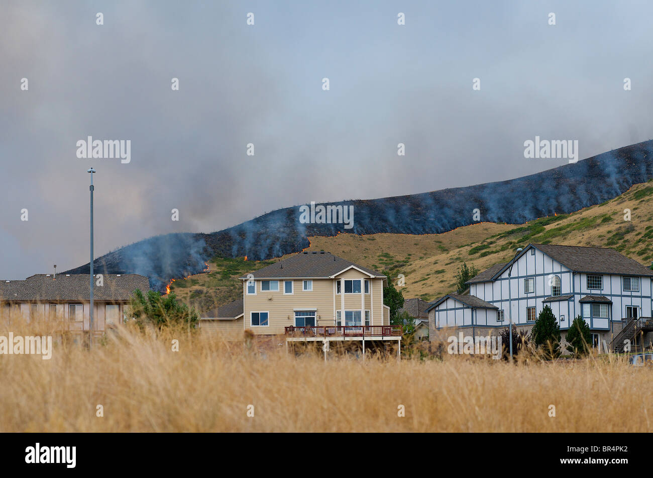 a grass fire near homes. Stock Photo