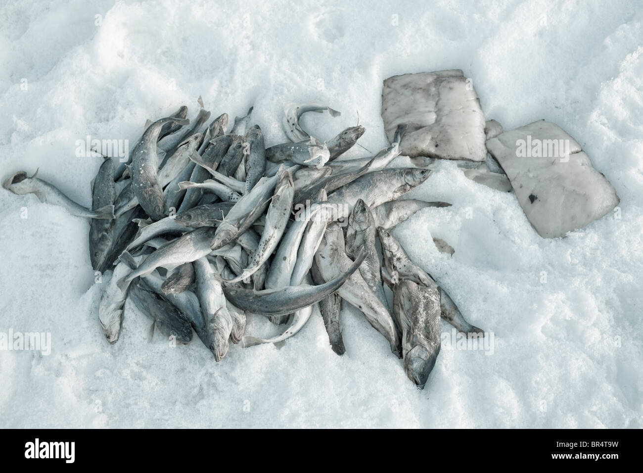 Kivalina, Alaska Stock Photo Alamy