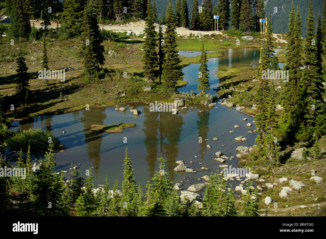 A high mountain lake along a hiking trail on Whistler Mountain.  Whistler BC, Canada Stock Photo