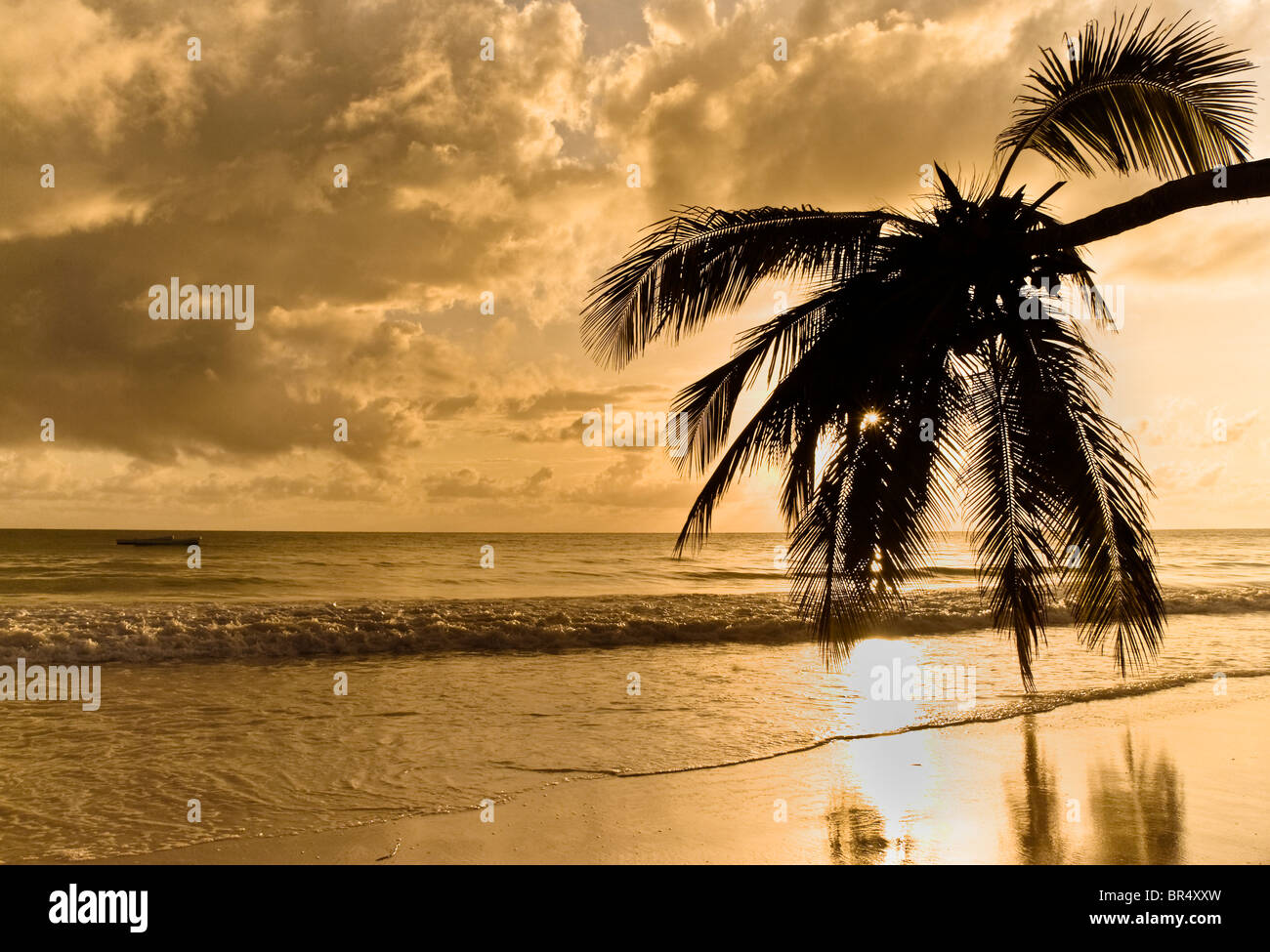 sunrise-on-zanzibar-beach-with-palm-tree-and-boat-october-zanzibar
