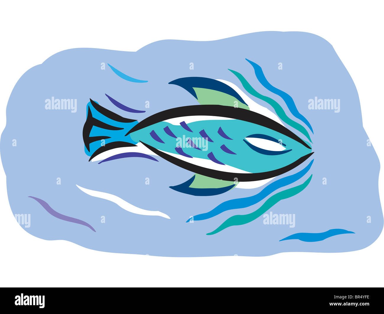 A fish swimming in the water Stock Photo - Alamy