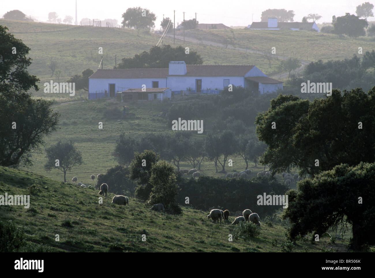 Bauernhof, Alentejo, Portugal +++Die Bildnutzung ist Honorarpflichtig+++ Stock Photo