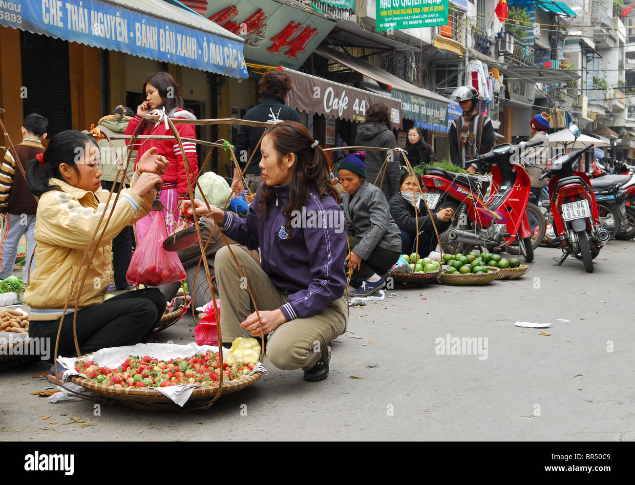 Where to buy datolan