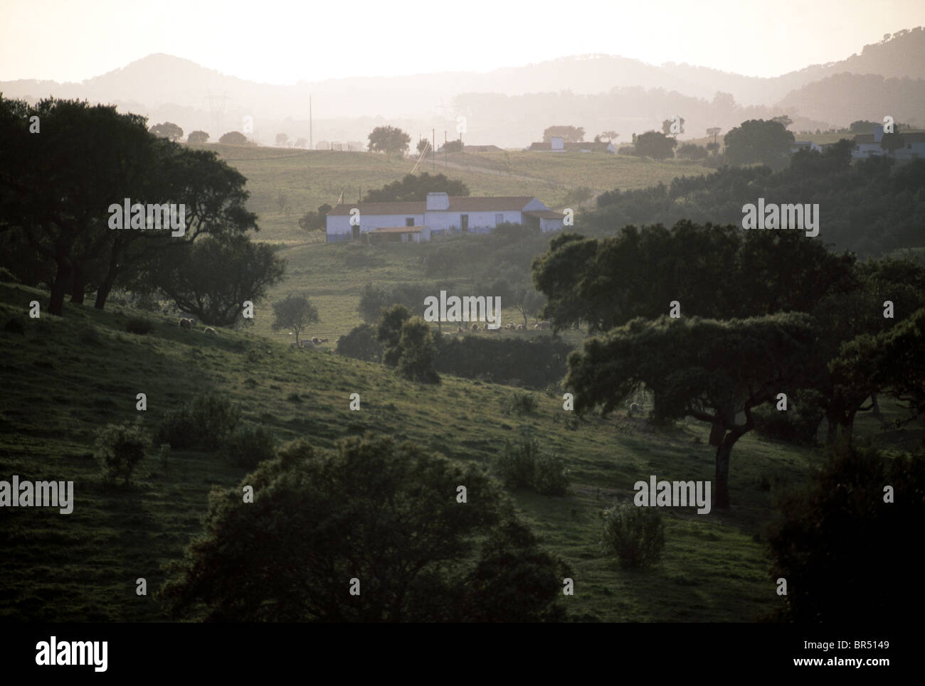 Bauernhof, Alentejo, Portugal +++Die Bildnutzung ist Honorarpflichtig+++ Stock Photo