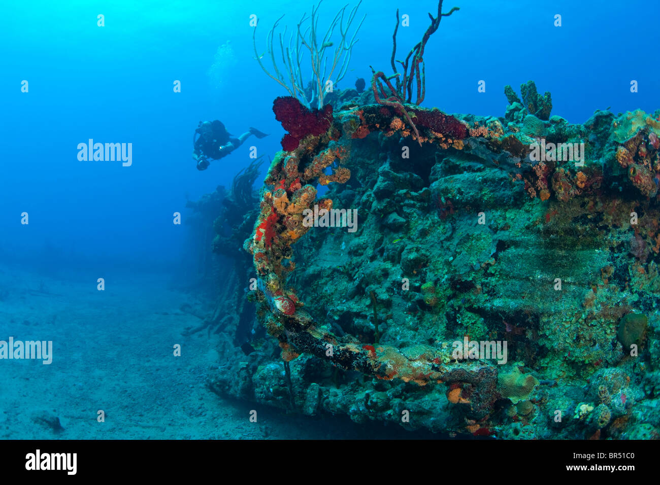 Salt Island Rms Rhone Female teen scuba diver Wreck of the RMS Rhone off the coast of Salt ...
