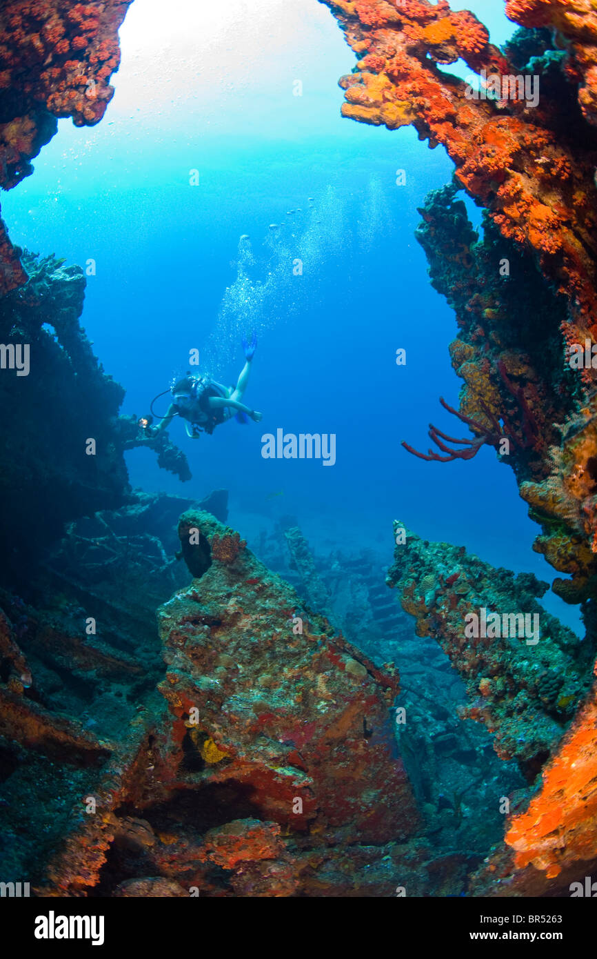 Salt Island Rms Rhone Female teen scuba diver Wreck of the RMS Rhone off the coast of Salt ...