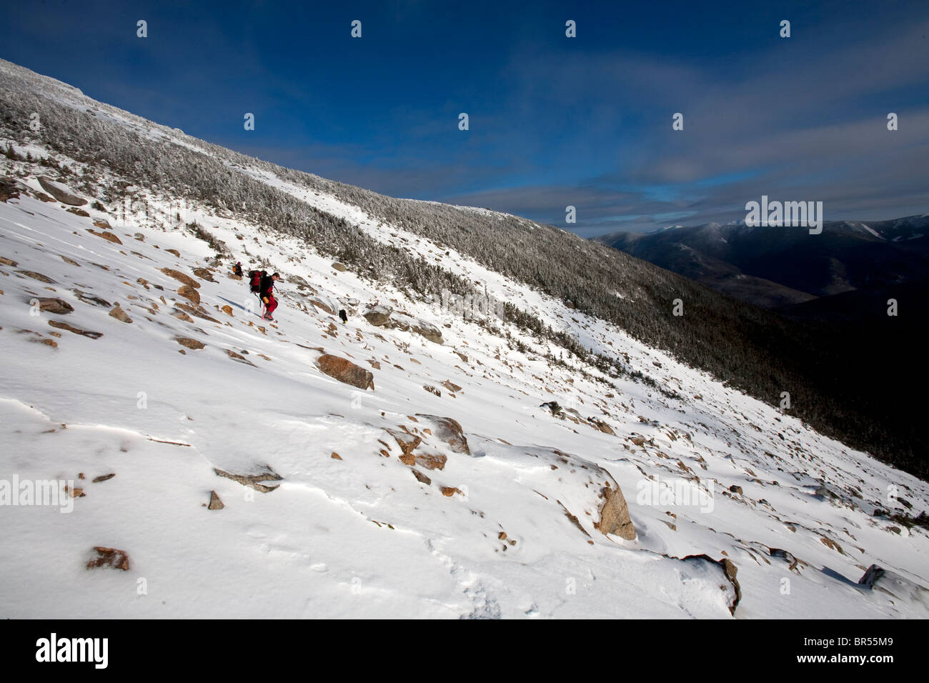 A hiker scours the side of Mount Lafayette during a training search and rescue mission. Stock Photo