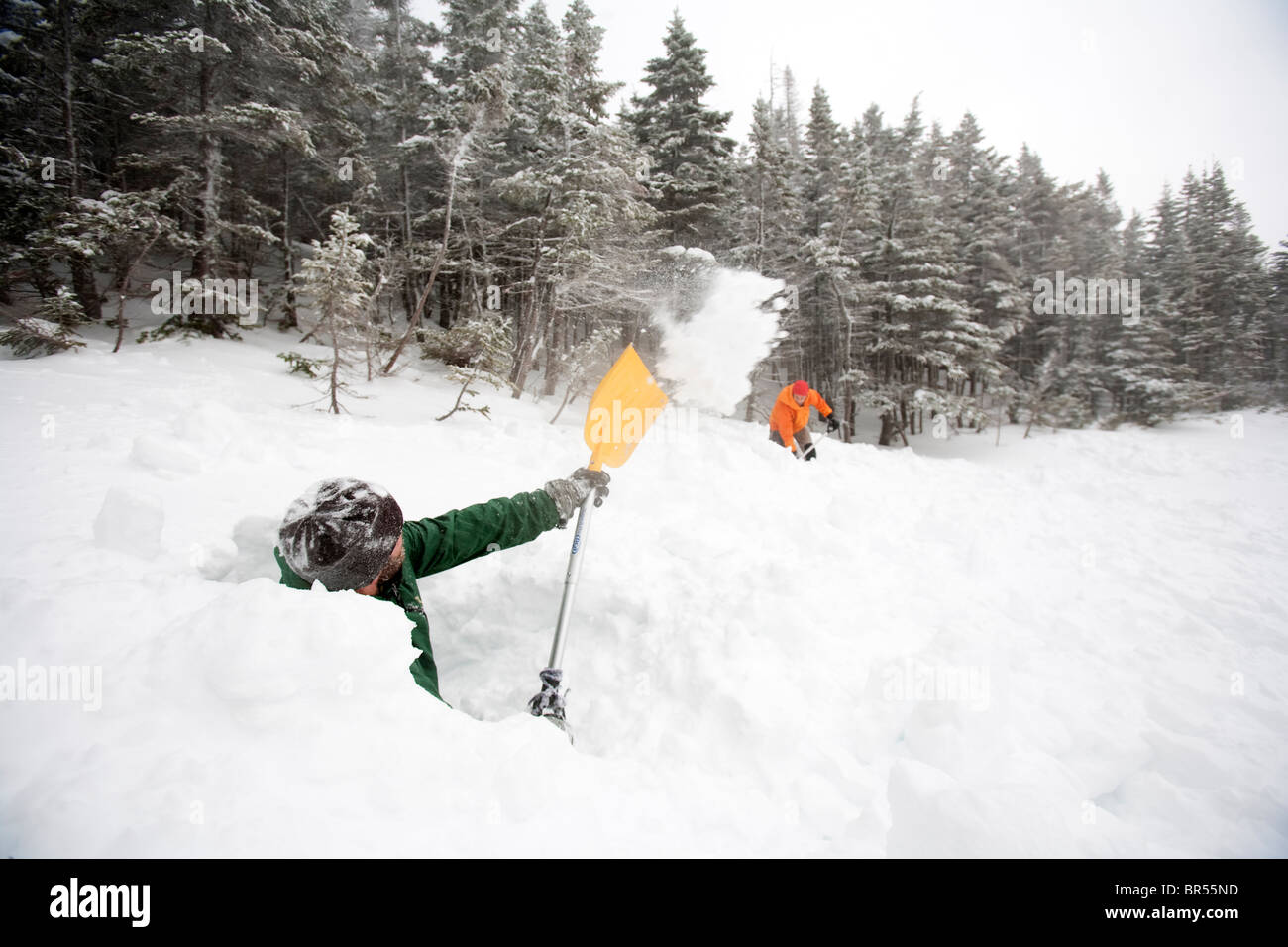 Forest Service Rangers set up for an avalanche rescue training session ...