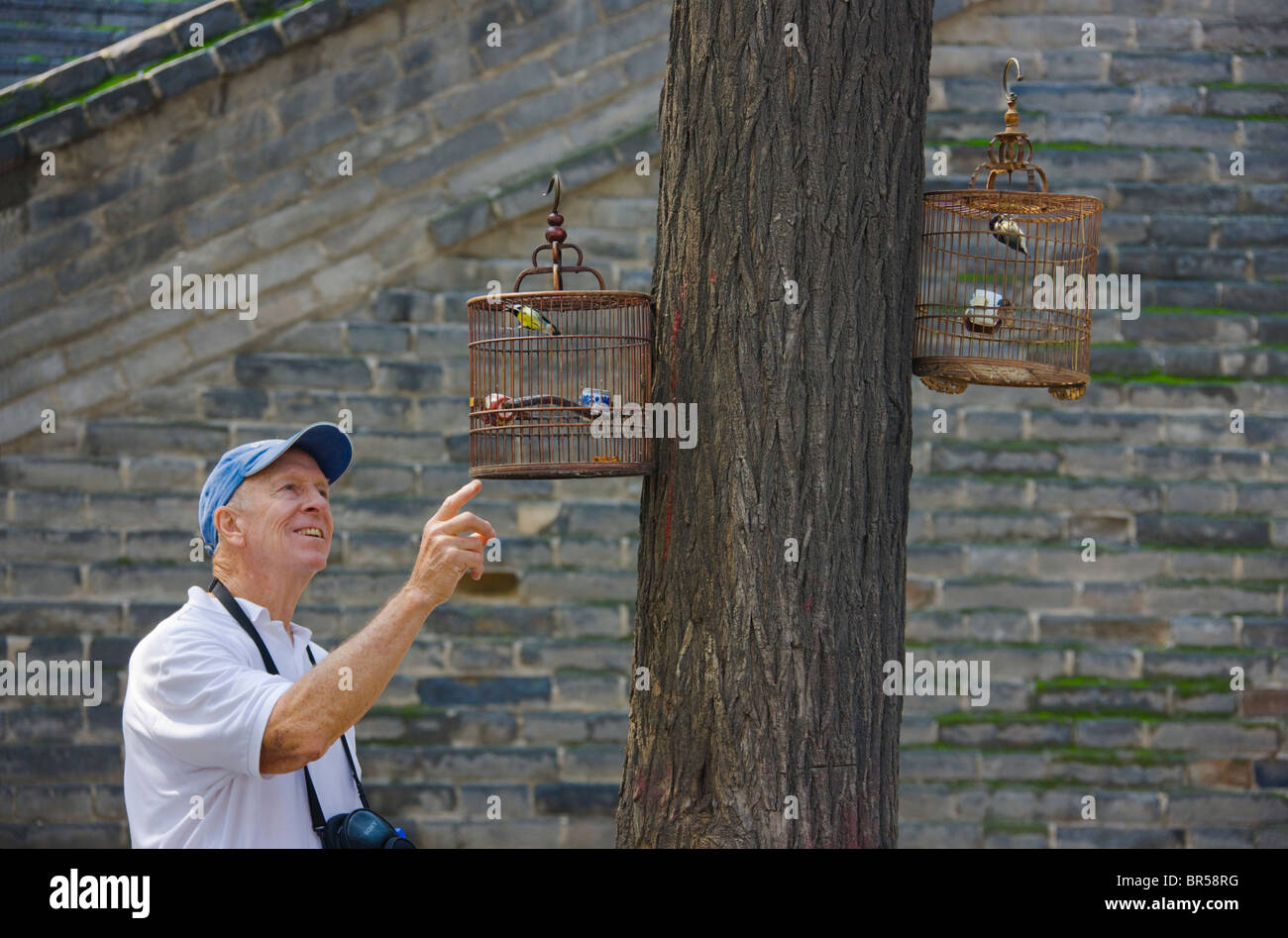 Tourist looking at bird cage, Xian, Shaanxi Province, China Stock Photo