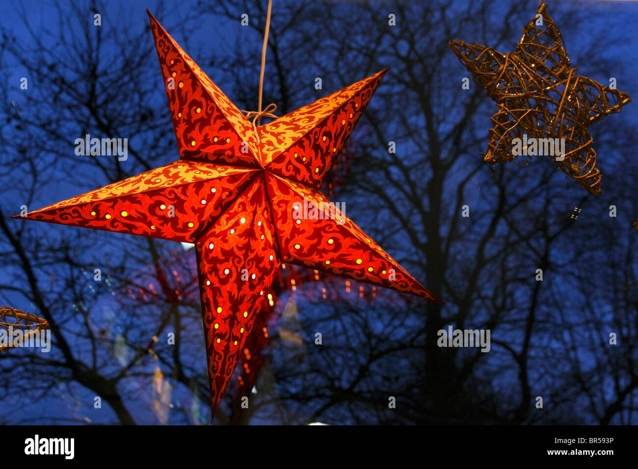 Christmas star Stock Photo