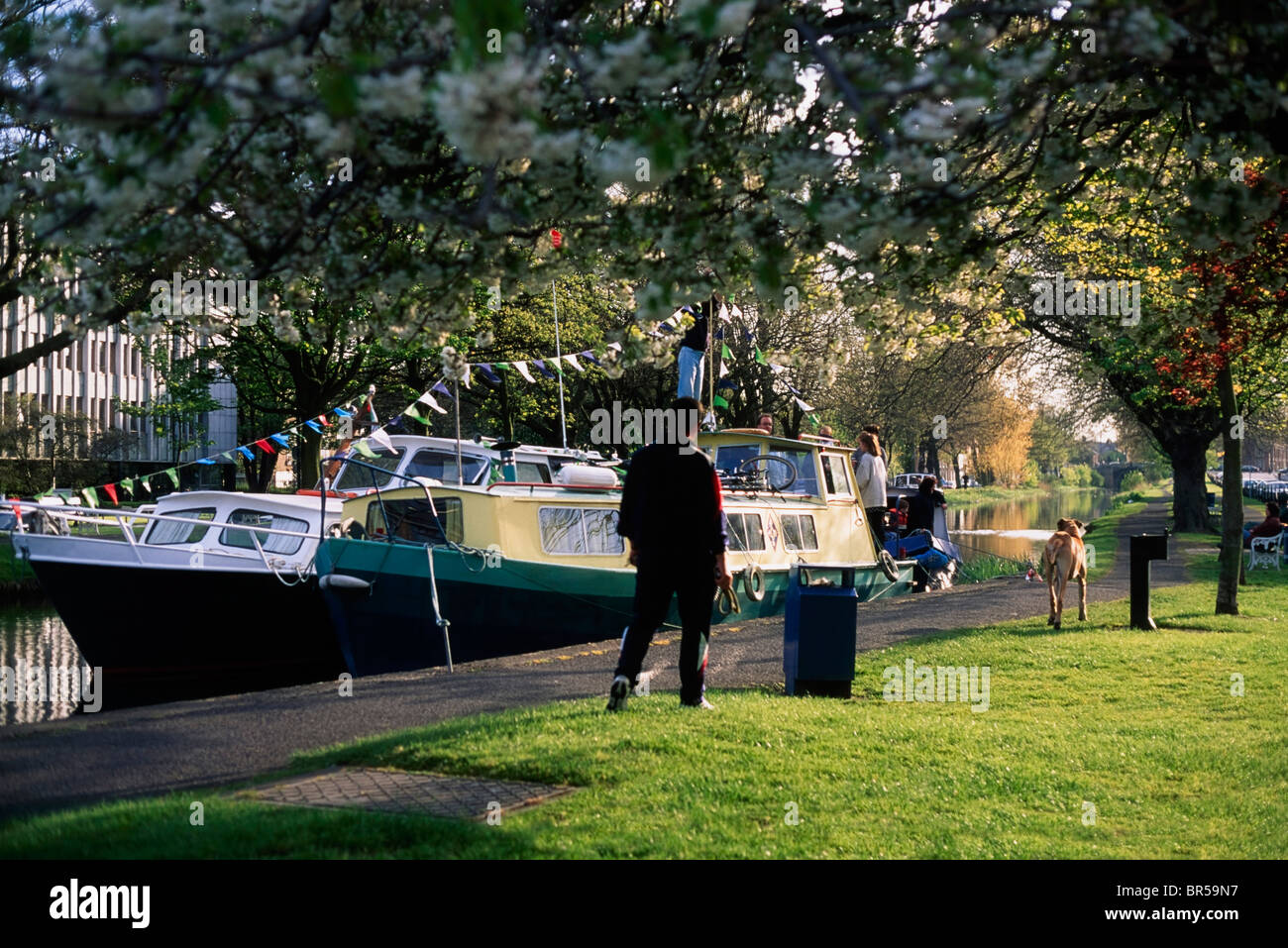 Dublin, Co Dublin, Ireland, Grand Canal Near Baggot Street Stock Photo