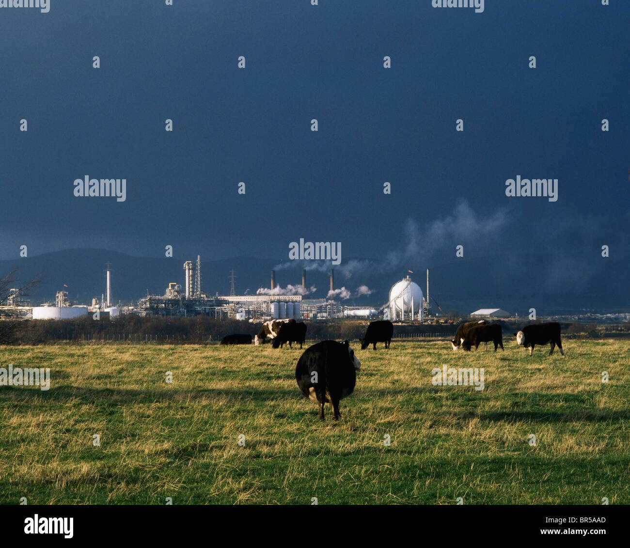 Derry City, Co Londonderry, Northern Ireland, Industrial Buildings
