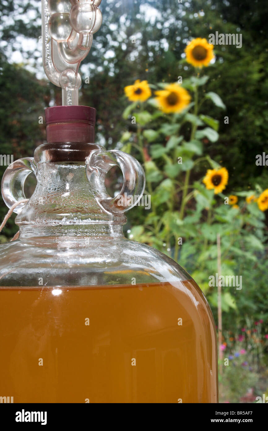 Orange demijohn hi-res stock photography and images - Alamy