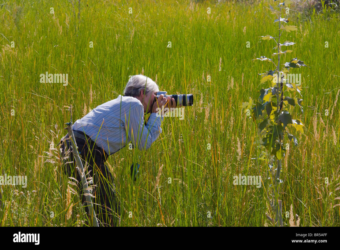 Western tourist photographing in the grass,  Xinjiang, China Stock Photo