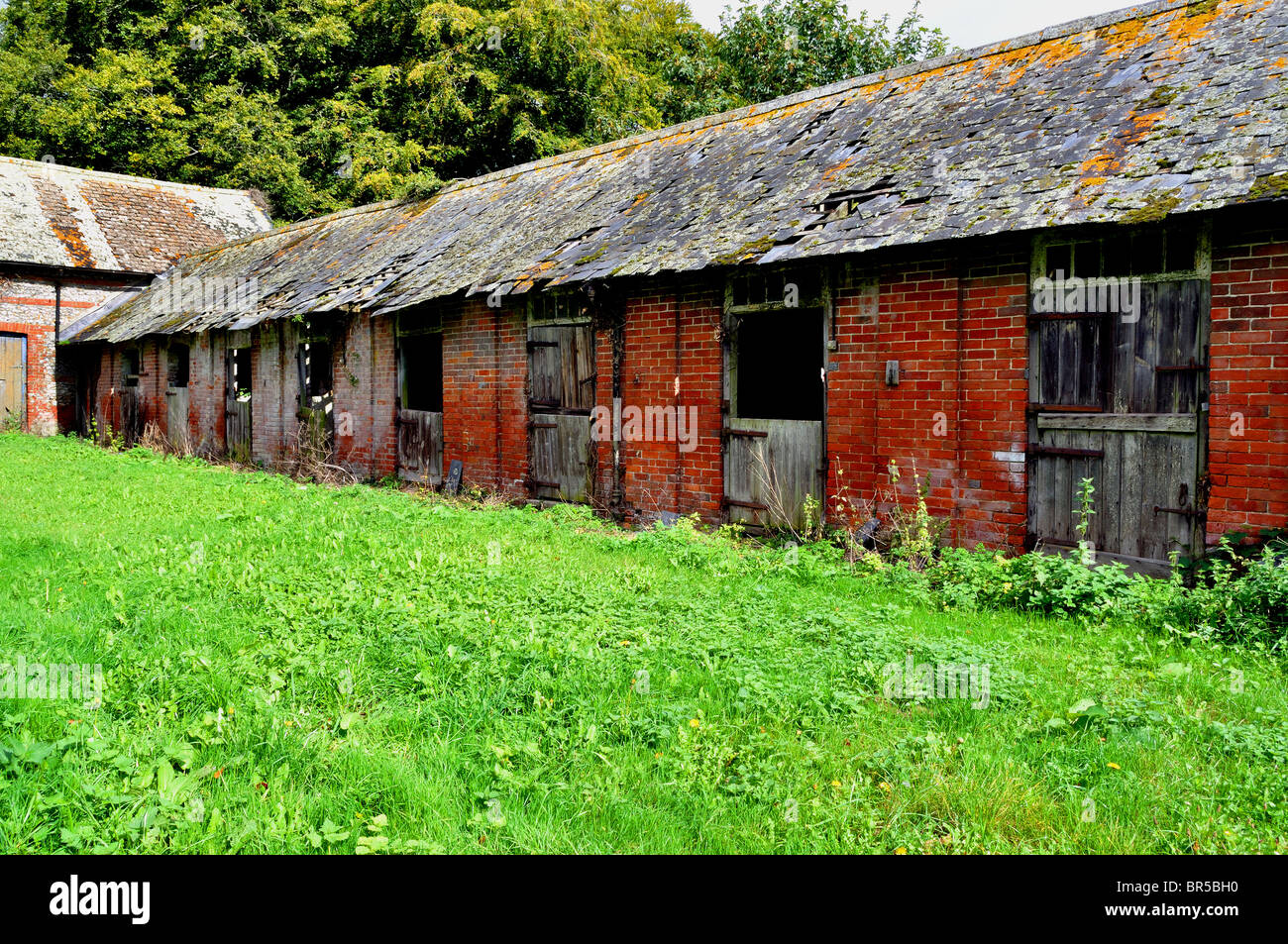Derelict horse stables Stock Photo