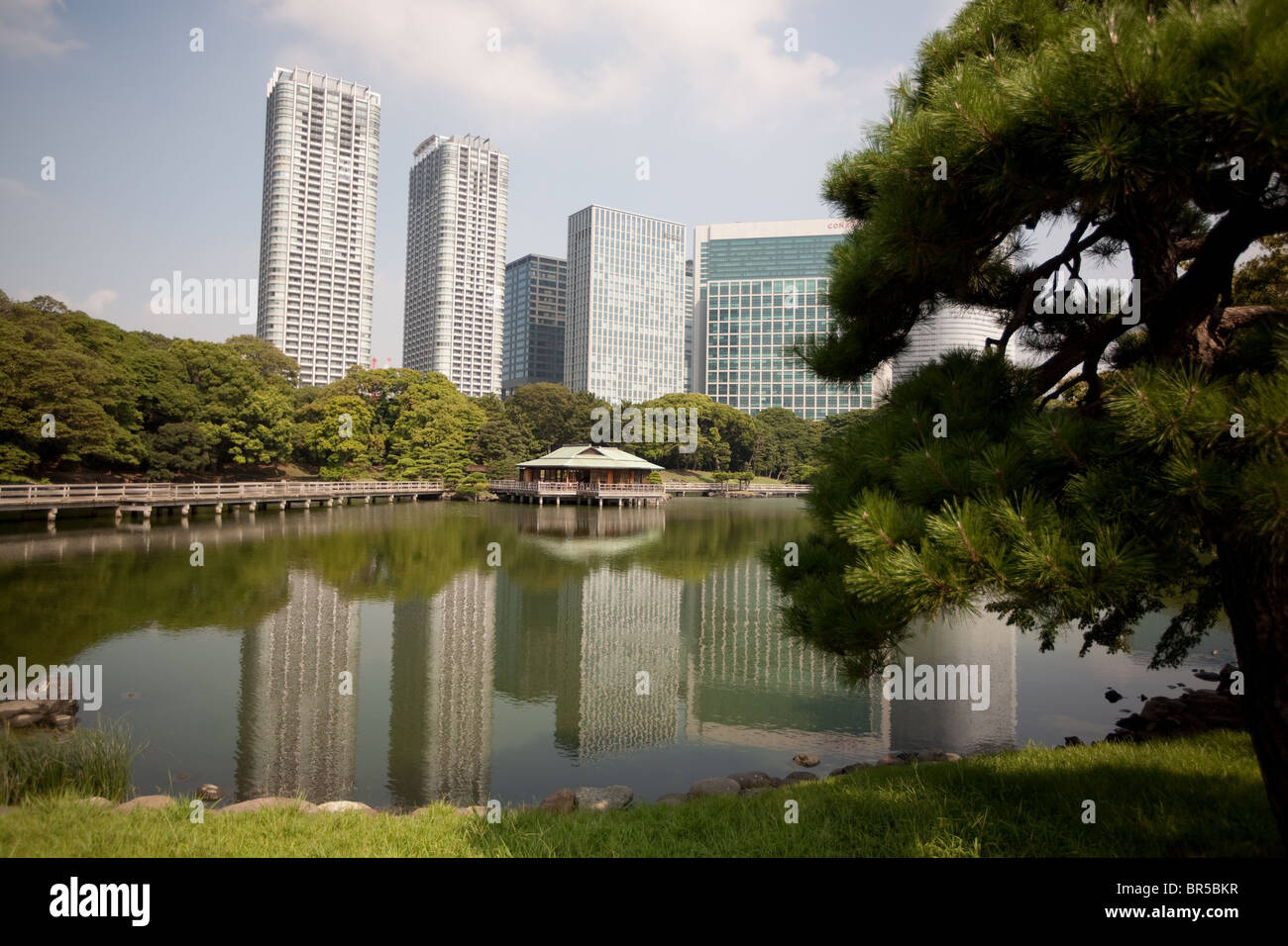 Views of skyscrapers in the Shiodome district as seen from within Hama-rikyu Teien Gardens, in Tokyo, Japan, Monday 23rd August Stock Photo
