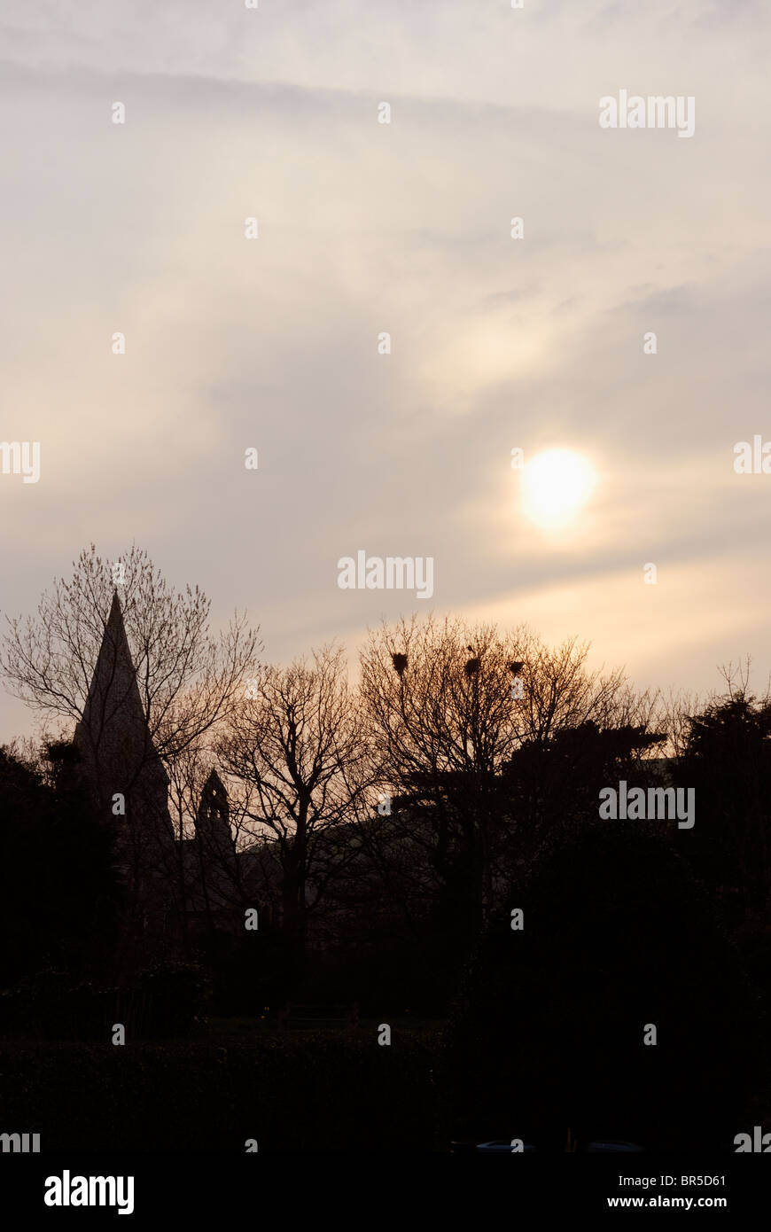 Llanrhystud Church with Rookery in the trees at sunset in Winter, Wales. Stock Photo