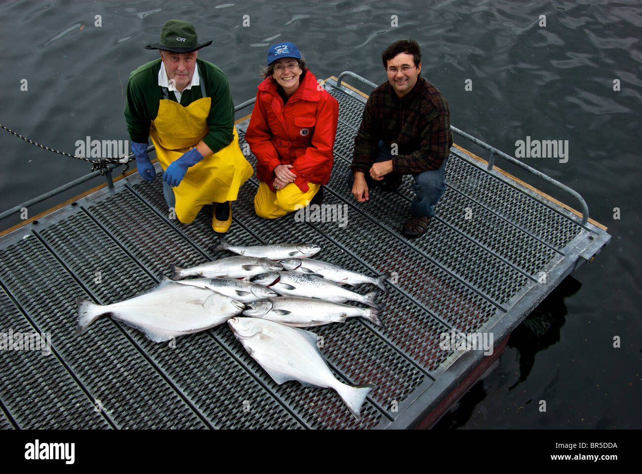 Fishing guide anglers on wharf with chicken halibut feeder chinook salmon caught trolling offshore in open Pacific Ocean Stock Photo