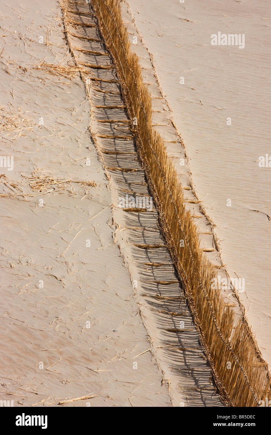 Reed made fence holding sand to prevent desertification, Aksu, Xinjiang, China Stock Photo