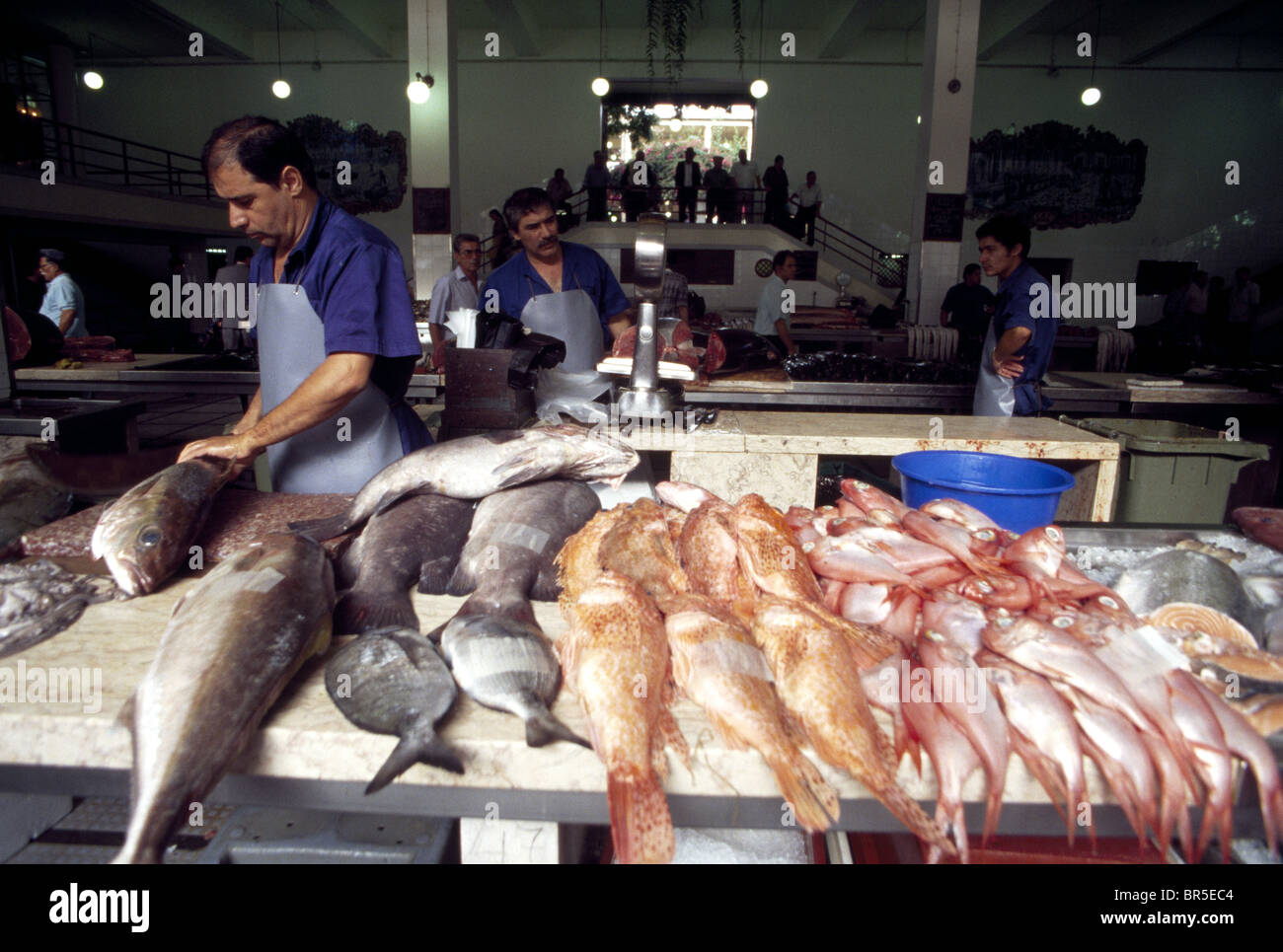 Fischverkäufer, Markthalle, Funchal, Madeira, Portugal +++Die Bildnutzung ist Honorarpflichtig+++ Stock Photo