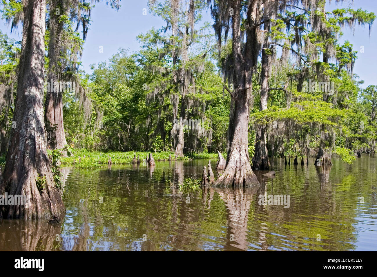 Houma hires stock photography and images Alamy