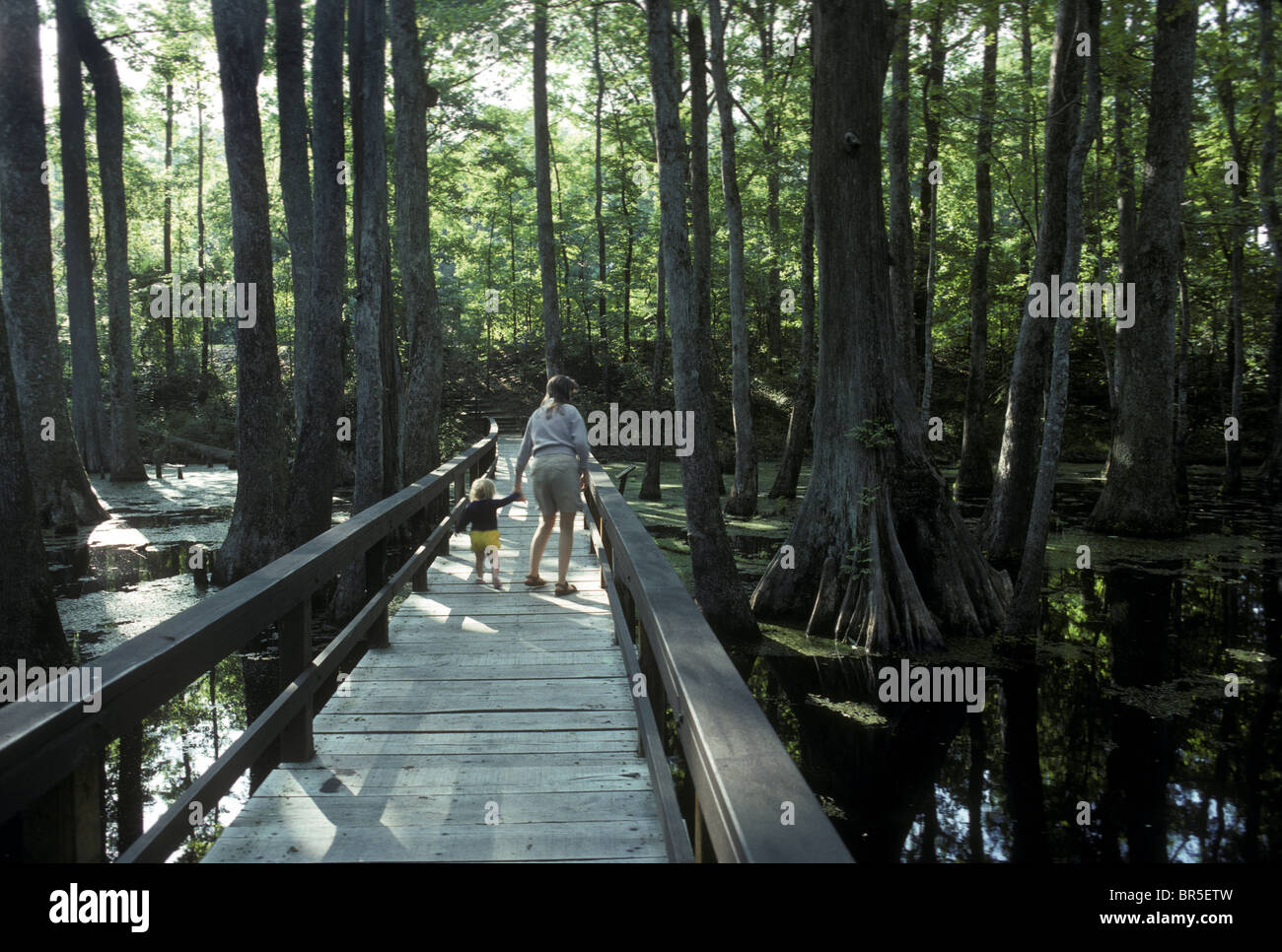 Natchez trace hi-res stock photography and images - Alamy