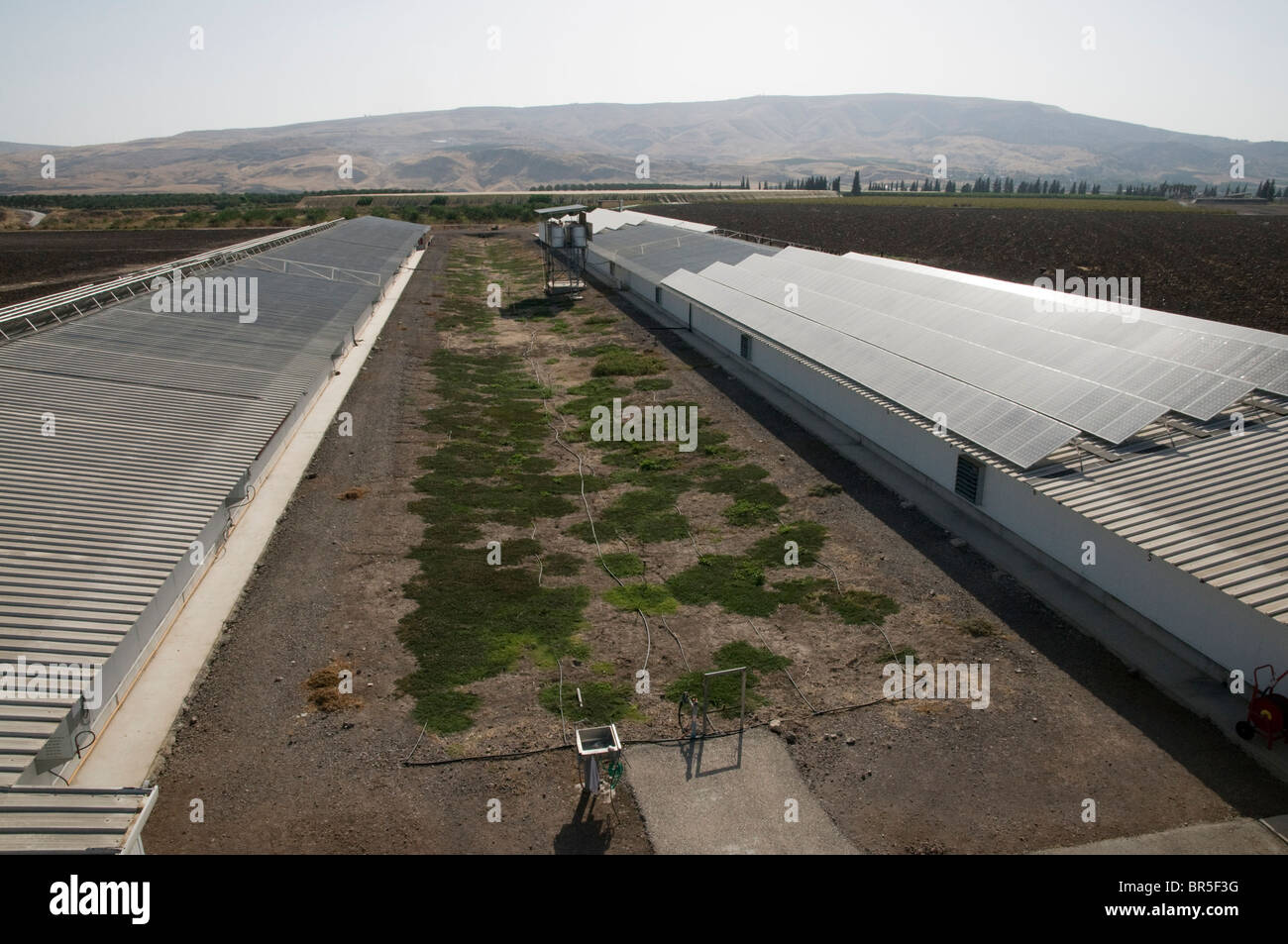 Electricity converting solar panels on a roof of a Turkey coop Stock Photo