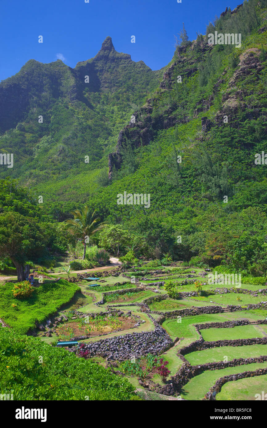 Kauai, HI: Rock terraces in the Limahuli Garden, National Tropical Botanical Garden Stock Photo